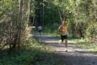 dsc03335_small.jpg